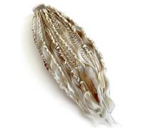 Coda Di Cavallo Elastica Del Terrore, Estensione Dei Capelli Boho Dreadlock Con Perline, Installazione In Un Minuto Capelli Boho Con Perline E Ciondoli For Il Festival(02)