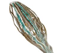 Coda di cavallo elastica dread con nastro di legatura, boho treccia a mano, extension dreadlock con perline e ciondoli, accessori per trecce, per una coda di cavallo in solo un minuto (A)