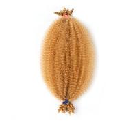 Coda di Cavallo Extension Capelli afro twist 12 pollici elastici capelli afro twist pre-soffice twist a molla capelli all'uncinetto pre allungati capelli avvolgenti for estensioni dei capelli soft loc