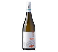 Coda di Volpe Sannio DOC 2025 Cantine Tora