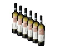 Coda di Volpe Sannio DOP | Cantina di Solopaca | Vino Bianco Campania | 6 Bottiglie 75Cl | Offerta