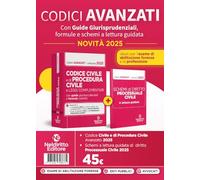 Codice civile con leggi complementari e codice di procedura civile. Nuova ediz.