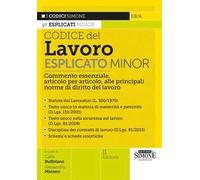 Codice del Lavoro esplicato. Commento essenziale, articolo per articolo, alle principali norme di diritto del lavoro. Minor