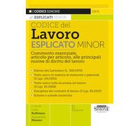 CODICE DEL LAVORO ESPLICATO - MINOR - BUFFOLANO C. (Curatore), MARANO A.