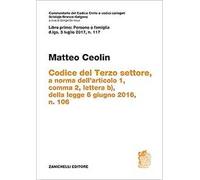 Codice del Terzo settore. a norma dell'articolo 1, comma 2, lettera b), della legge 6 giugno 2016, n. 106