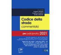 Codice della strada commentato