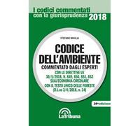 Codice dell'ambiente