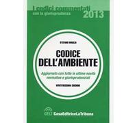 Codice dell'ambiente