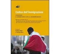 Codice dell'immigrazione