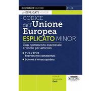 Codice dell'Unione Europea esplicato Minor. Con commento essenziale articolo per articolo