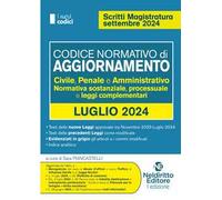 Codice normativo di aggiornamento. Civile, penale e amministrativo. Normativa sostanziale, processuale e leggi complementari. Luglio 2024