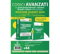 Codice penale e di procedura penale avanzato, con guide giurisprudenziali ...