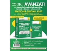 Codice penale e di procedura penale avanzato, con guide giurisprudenziali e operative, formule e schemi a lettura guidata aggiornato alla L. 9 giugno 2025, n. 80, di conv. del D.l. 11 aprile 2025,...