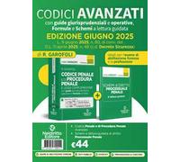 Codice penale e di procedura penale avanzato, con guide giurisprudenziali e operative, formule e schemi a lettura guidata aggiornato alla L. 9 giugno 2025, n. 80, di conv. del D.l. 11 aprile 2025...