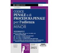 Codice Penale e di Procedura Penale per l'udienza Minor 2025