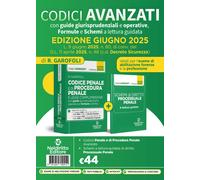 Codice penale ragionato 2025 aggiornato al DL sicurezza convertit