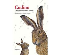 Codino. Un leprotto diventa grande