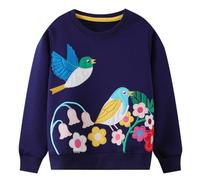 Codkkre Felpa Senza Cappuccio Bambina Cotone Pullover Ragazza Casuale Felpa Maniche Lunghe Bambina 2-7 Anni, Stile 9, 2 Anni