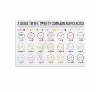 Codon Reference Wheel Poster for Biochemistry Courses