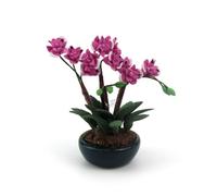 Codulu Phalaenopsis Orchidea in un vaso, accessorio per piante in miniatura, pianta in vaso verde, scala 1:12, adatta per la decorazione di casa e auto