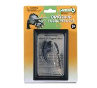 Cofanetto da collezione da collezioneUn cofanetto con denti e artigli di Allosau