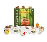 Cofanetto educativo Montessori - Scoperta dei funghi - Materiale didattico sensoriale PACHA ECHECS con statuette realistiche e libretto esplicativo in francese - Osservazione della natura e