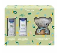 Cofanetto Koala Mustela con Sonaglio 1 St