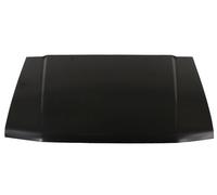 Cofano (Acciaio) per: Mitsubishi Pajero II 12.90-04.00