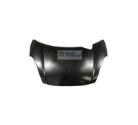 COFANO ANT LIGIER JS50 1 SERIE