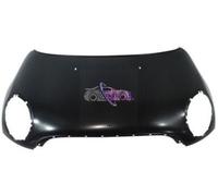 COFANO ANTERIORE COFANO MOTORE PER MINI R56 BENZINA 2006-2010 06>10