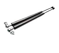 Cofano Anteriore Dell'auto Modifica Ammortizzatore A Gas Supporto Sollevamento Ammortizzatore Barra Rinforzo Per Ford Per Fiesta ST MK8 2017-2024 Ammortizzatori Cofano Motore Molla A Gas Cofano(Piano