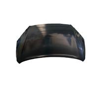 Cofano Anteriore Per Leapmotor T03 2024 In Poi