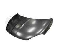 Cofano Calotta Adatto A per Fiat 500X 334_334