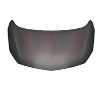 Cofano Calotta Adatto A per Opel Astra J