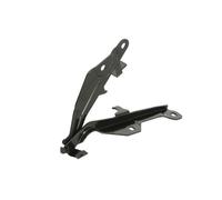 Cerniera cofano bilaterale 6802-00-2589452P BLIC per FORD USA MUSTANG Coupé