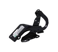BLIC 6802-00-2950451P Cerniera, Cofano motore