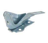 Cofano - Cerniere BLIC 6802-00-3181451P