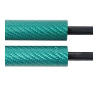 Cofano Hood Ascensore Struts Per Nissan Per Micra Per K14 2016 2017 2018 2019 2020 2021 2022 Hatchback Baule Portabagagli Supporto Sollevatore Ammortizzatore Pistone(Green Carbon Fiber)