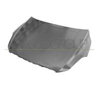 PRASCO VV6103110 Cofano