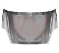 Cofano motore 1624660 VAN WEZEL per FIAT