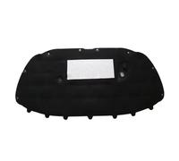 Cofano Motore Anteriore Compatibile Con Polo MK5 Per Vivo Per Ameo 2009 2010 2011 2012 2013 2014 2015 2016 2017 Tappetino Isolante Acustico Per Cofano Motore Auto.