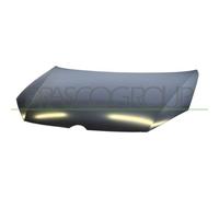Cofano Motore Prasco VG0383110 Premium per VW