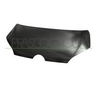 Cofano Motore Prasco VG2013100 per VW