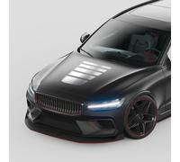 Cofano Motore Strisce da Corsa Set " Argento Metallizzato " Auto Adesivo