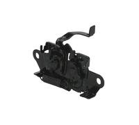 Cofano - Parti BLIC 6010-14-3478424P