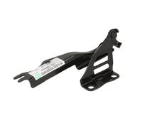 BLIC 6802-00-3453451P Cerniera, Cofano motore