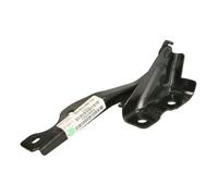 Cofano - Parti BLIC 6802-00-3479451CP