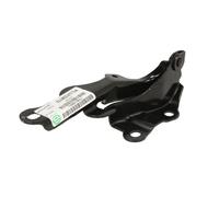 Cofano - Parti BLIC 6802-00-8136451P