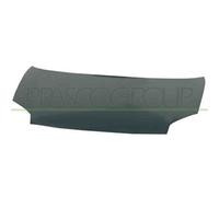 Cofano Per Citroen Berlingo Dal 2003 Al 2008 Ci9173100 9839337980