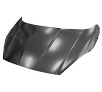 Cofano Motore Prasco FD3463100 Premium per Ford